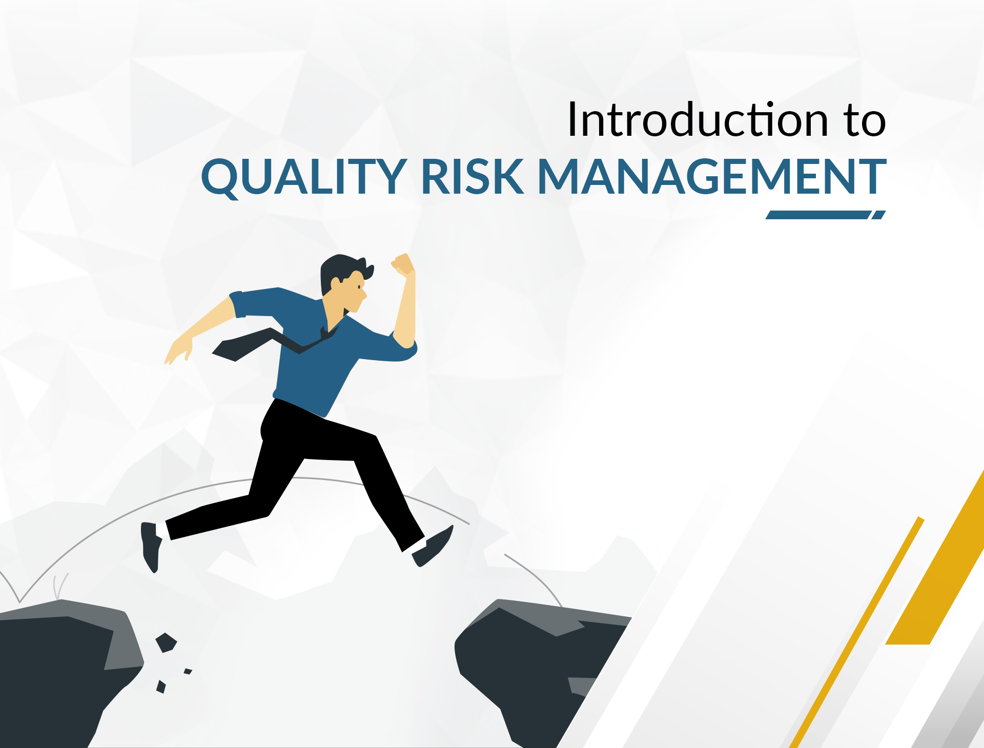 Introduction to Quality Risk Management