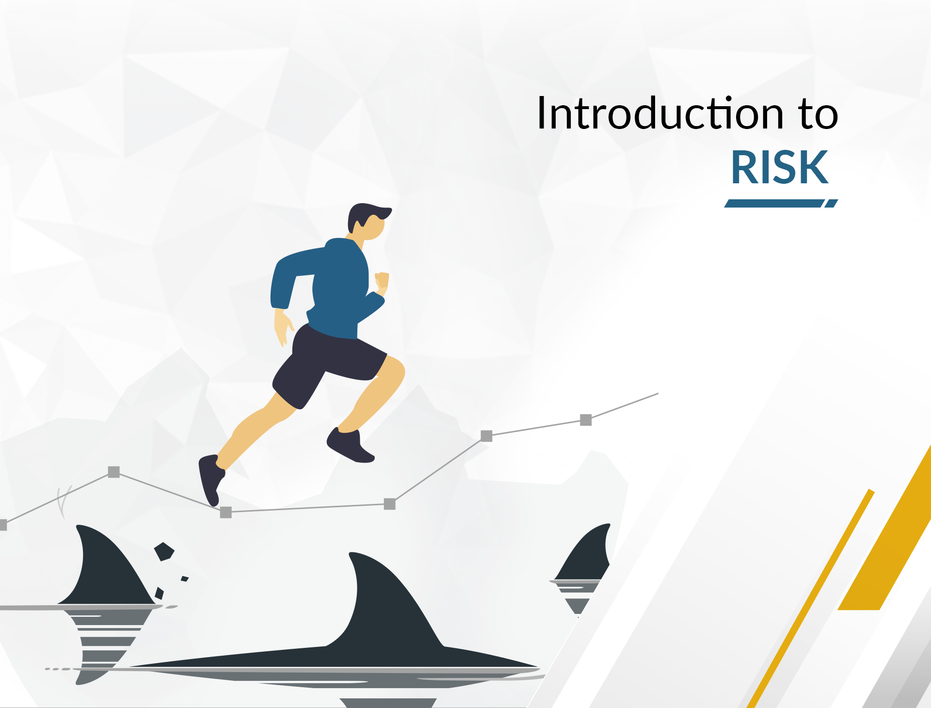 Introduction to Risk